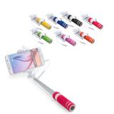 Monopod  "paicom"