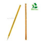 Lapiz ecológico tlac 